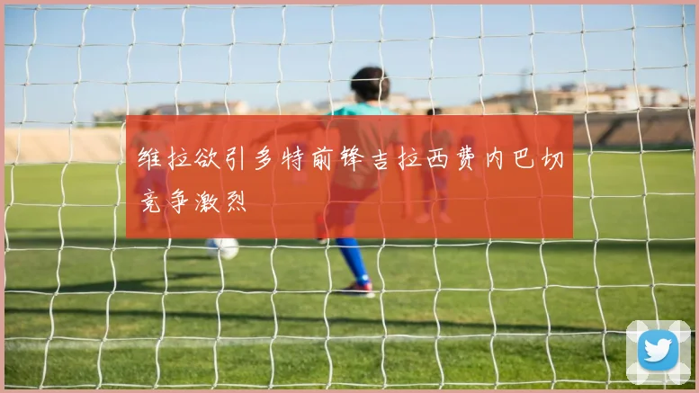 维拉欲引多特前锋吉拉西费内巴切竞争激烈